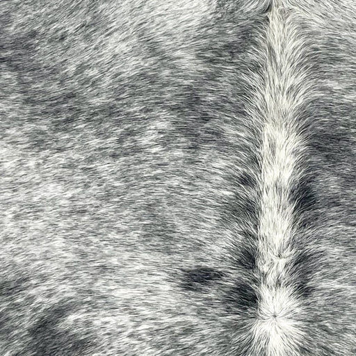 Closeup of this Large Speckled Brazilian Cowhide, showing white with black speckles and spots (BRSP3416)