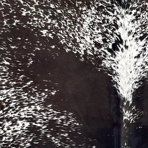 Closeup of this extra-large Speckled Brazilian Cowhide, showing white with dark brown speckles and large and small spots (BRSP3417)