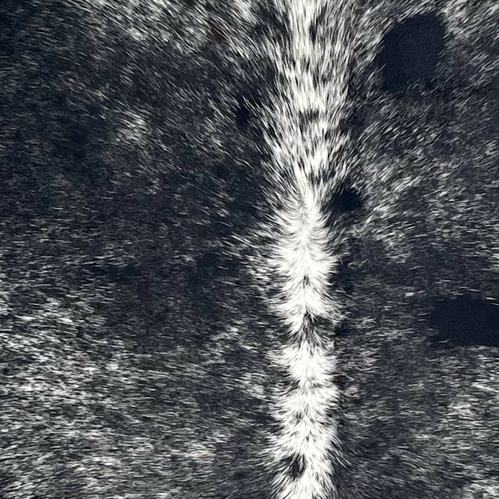 Closeup of this Speckled Brazilian Cowhide, showing black with white speckles, and mostly white down the spine (BRSP3418)