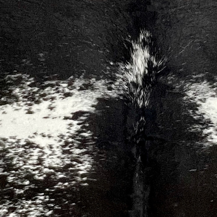 Closeup of this extra extra-large Speckled Brazilian Cowhide, showing mostly black, with a few white speckles, across the shoulder and down the middle, and white with black speckles and spots on the back  (BRSP3419)
