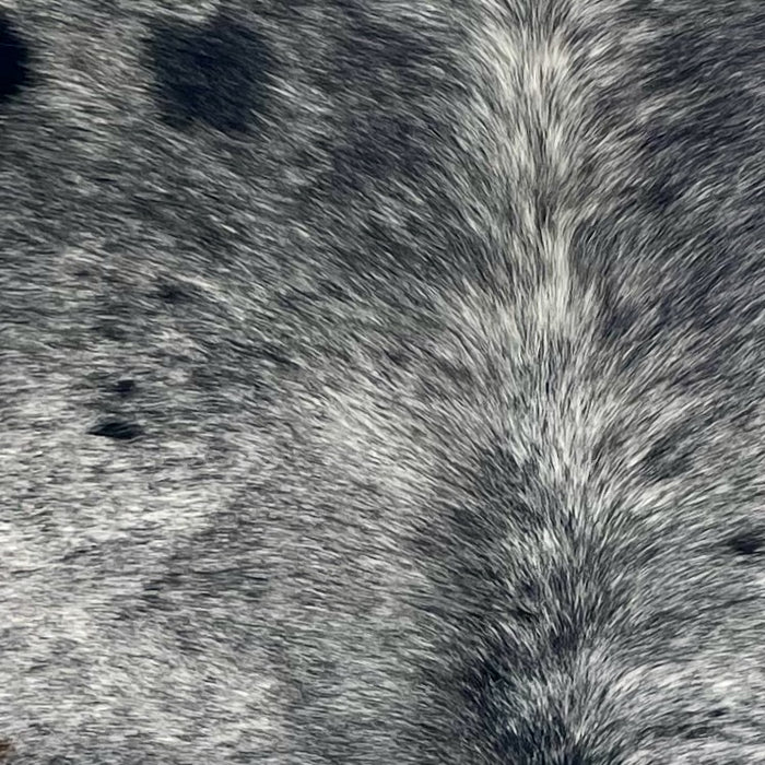 Closeup of this Large Speckled Brazilian Cowhide, showing black with white speckles (BRSP3421)