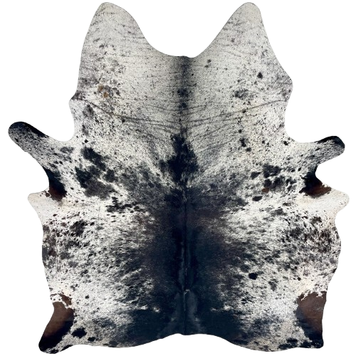 Black and White Speckled Brazilian Cowhide: white with black speckles and spots, mostly solid black down the middle of the back and butt, and dark brown on part of the hind shanks - 7'5" x 5'8" (BRSP3423)