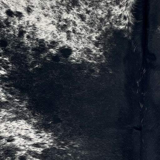 Closeup of this Speckled Brazilian Cowhide, showing white with black speckles and spots, and mostly solid black down the middle of the back (BRSP3424)