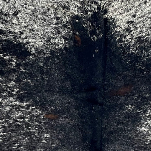 Closeup of this Speckled Brazilian Cowhide, showing white with black speckles and spots, black with fine white speckles down the middle, and three small, dark brown spots on the back (BRSP3426)