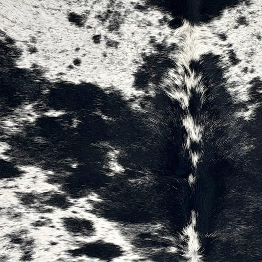 Closeup of this Speckled Brazilian Cowhide, showing white with black speckles and large and small, black spots  (BRSP3427)