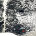 Closeup of this XL Black and White Speckled Brazilian Cowhide, showing one brand mark on the right side of the butt (BRSP3428)
