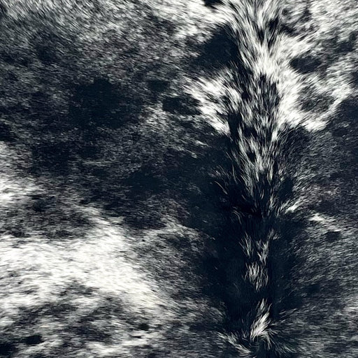 Closeup of this Speckled Brazilian Cowhide, showing black with white speckles and spots (BRSP3430)