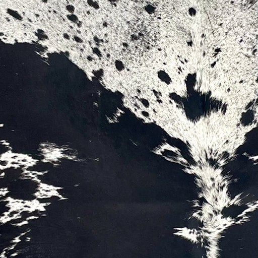 Closeup of this Large Speckled Brazilian Cowhide: white with black speckles, large and small, black spots (BRSP3431) 