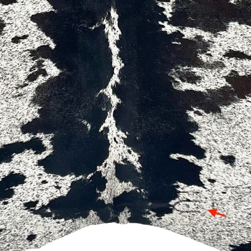 Closeup of this Black and White Speckled Brazilian Cowhide, showing one brand mark on the right side of the butt (BRSP3433)