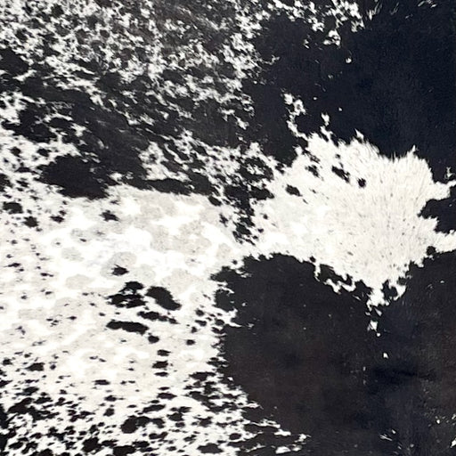 Closeup of this Large Speckled Brazilian Cowhide, showing white with black speckles and spots  (BRSP3434)