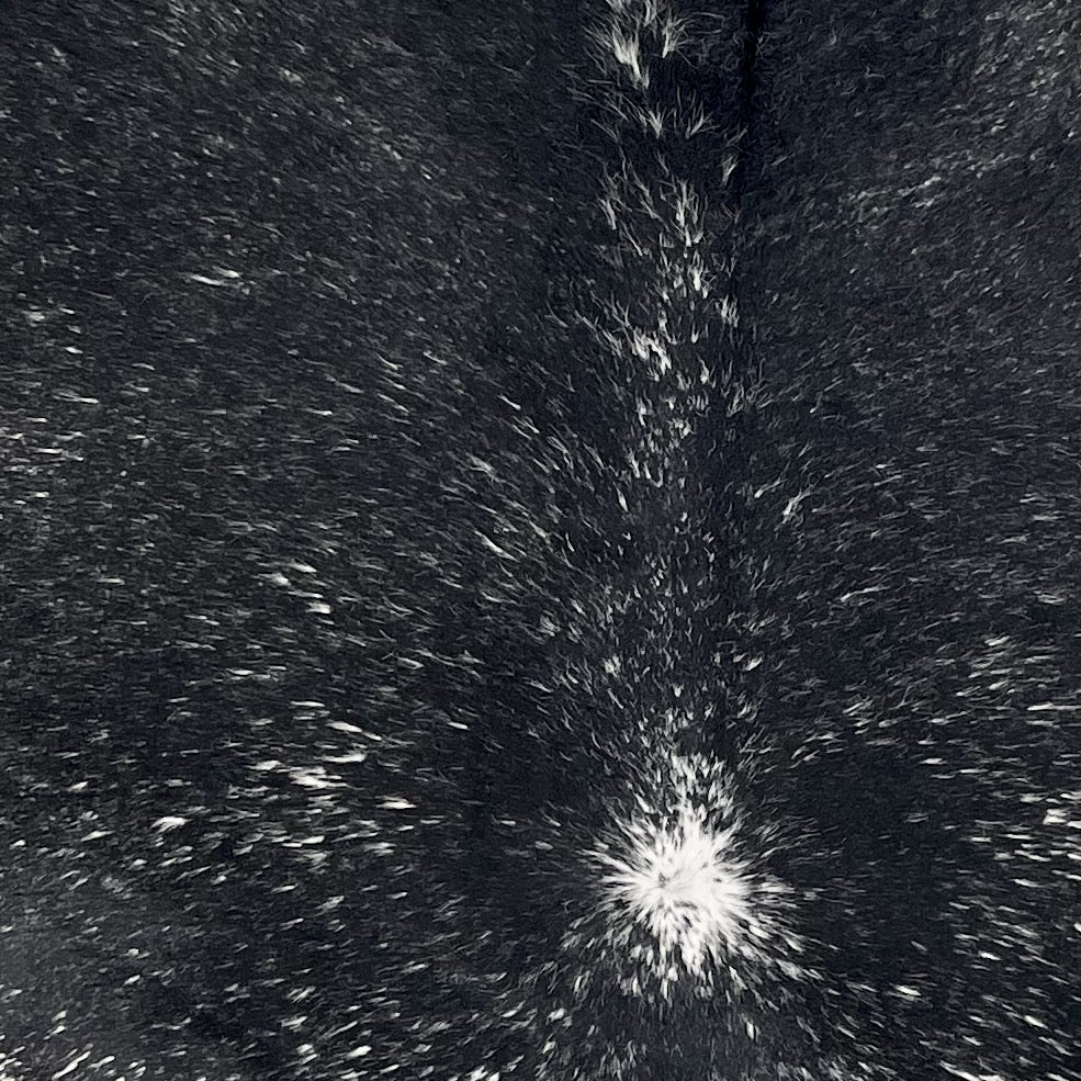 Closeup of this Large Speckled Brazilian Cowhide, showing black with white speckles (BRSP3435)