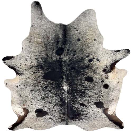 XL Black and White Speckled Brazilian Cowhide: white with black spots and speckles, and brown on part of the hind shanks - 8' x 6'1" (BRSP3436)