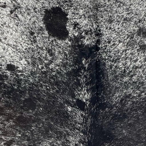 Closeup of this Large Speckled Brazilian Cowhide, showing black with white speckles down the back, and white with black speckles and spots on the shoulder  (BRSP3437)