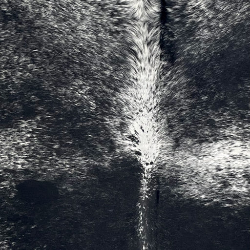 Closeup of this Large Speckled Brazilian Cowhide, showing black with white speckles and spots (BRSP3439)
