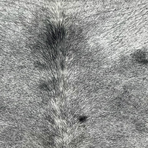 Closeup of this Speckled Brazilian Cowhide, showing white with black speckles and spots (BRSP3440)