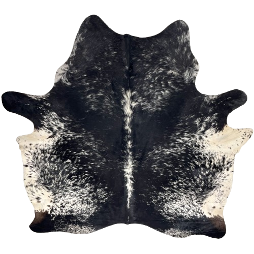 Black and White Speckled Brazilian Cowhide: black with white speckles and spots, off-white on the belly, and brownish black on the hind shanks - 7'2" x 5'11" (BRSP3441)