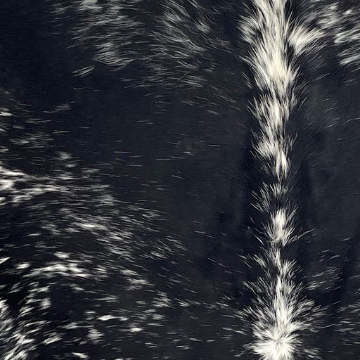 Closeup of this Speckled Brazilian Cowhide, showing black with white speckles and spots (BRSP3441)