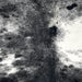 Closeup of this Speckled Brazilian Cowhide, showing black with white speckles and spots (BRSP3443)