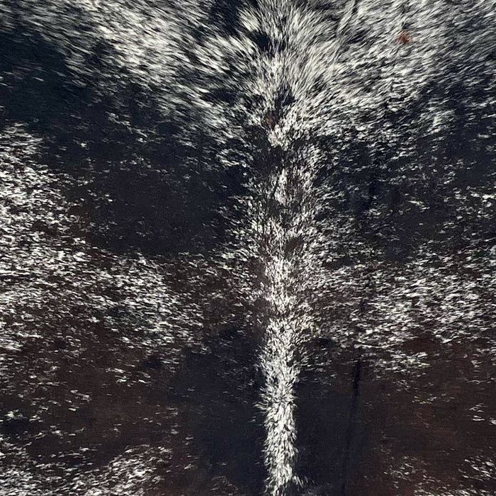 Closeup of this Large Dark Tricolor Speckled Brazilian Cowhide, showing white with black speckles and black and dark brown spots (BRSP3445)
