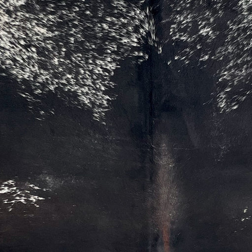 Closeup of this Large Speckled Brazilian Cowhide, showing mostly solid black down the middle, brown down part of the spine, and white with black speckles on the shoulder (BRSP3447)