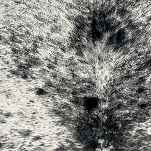Closeup of this Large Speckled Brazilian Cowhide, showing white with black speckles and spots (BRSP3448)