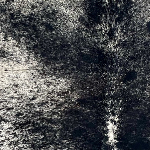 Closeup of this Large Speckled Brazilian Cowhide, showing white with black speckles and spots (BRSP3450)