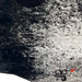 Closeup of this Large Black and White Speckled Brazilian Cowhide, showing one brand mark on the right side of the butt (BRSP3450)