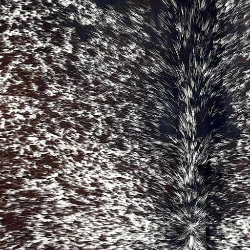 Closeup of this Tricolor Speckled Brazilian Cowhide, showing white with dark brown and black speckles and spots (BRSP3451)