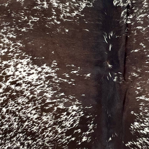 Closeup of this Speckled Brazilian Cowhide, showing white with dark brown spots and speckles (BRSP3452)