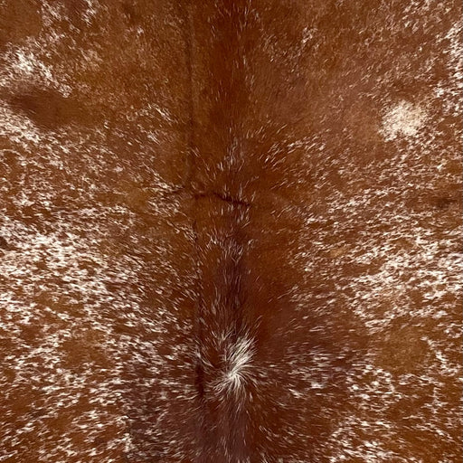 Closeup of this Speckled Brazilian Cowhide, showing reddish brown with white speckles and spots (BRSP3453)