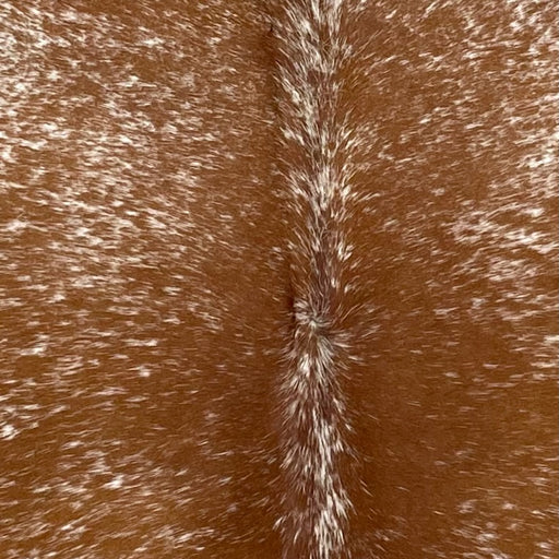 Closeup of this Speckled Brazilian Cowhide, showing reddish brown with white speckles (BRSP3454)