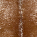 Closeup of this Speckled Brazilian Cowhide, showing reddish brown with white speckles (BRSP3454)