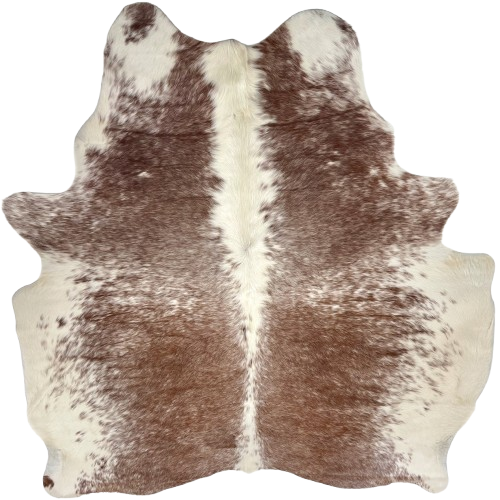 Brown and Ivory Speckled Brazilian Cowhide: brown with ivory speckles down both sides, ivory down the middle and on the belly and hind shanks, and longer hair on the belly - 6'6" x 5'9" (BRSP3455)