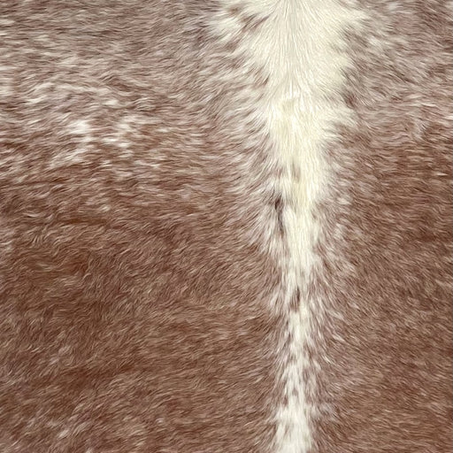 Closeup of this Speckled Brazilian Cowhide, showing brown with ivory speckles down both sides, ivory down the middle (BRSP3455)