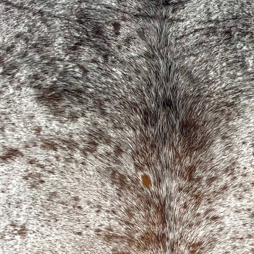 Closeup of this Speckled Brazilian Cowhide, showing white with brown and blackish brown speckles (BRSP3456)