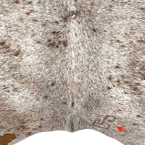 Closeup of this Brown and White Speckled Brazilian Cowhide, showing one brand mark on the right side of the butt (BRSP3456)