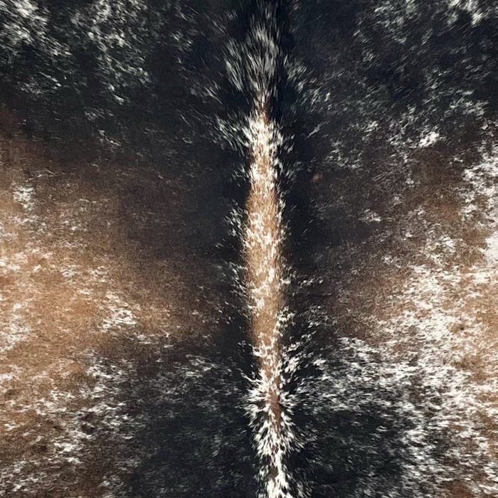 Closeup of this Tricolor Speckled Brazilian Cowhide, showing white with brown and black speckles and spots (BRSP3458)