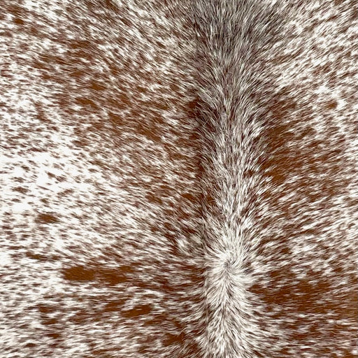 Closeup of this Speckled Brazilian Cowhide, showing white with brown speckles and spots (BRSP3459)