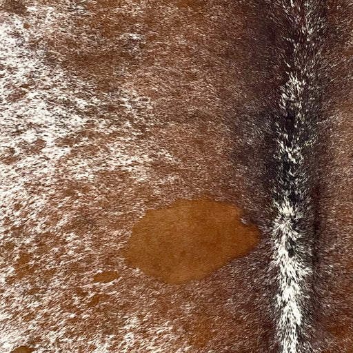 Closeup of this Speckled Brazilian Cowhide, showing white with brown speckles and spots (BRSP3461)
