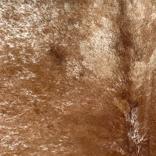 Closeup of this Speckled Brazilian Cowhide, showing brown with white speckles and spots (BRSP3462)