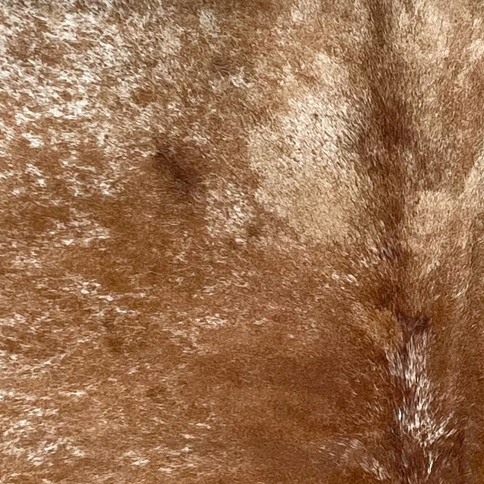 Closeup of this Speckled Brazilian Cowhide, showing brown with white speckles and spots (BRSP3462)