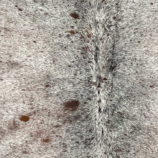Closeup of this Tricolor Speckled Brazilian Cowhide, showing white with brown and black speckles and spots (BRSP3463)