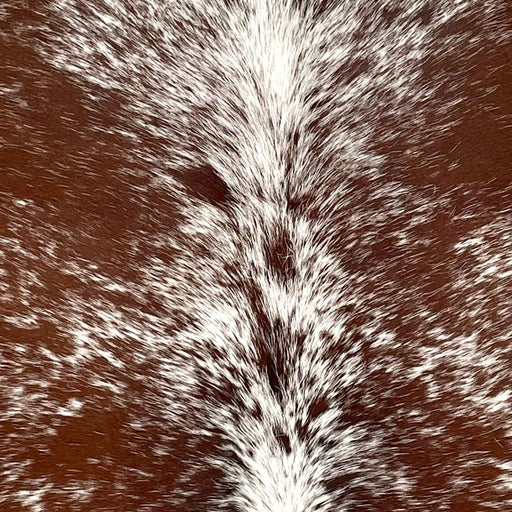 Closeup of this Speckled Brazilian Cowhide, showing white with reddish brown speckles and spots (BRSP3464)