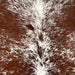 Closeup of this Speckled Brazilian Cowhide, showing white with reddish brown speckles and spots (BRSP3464)