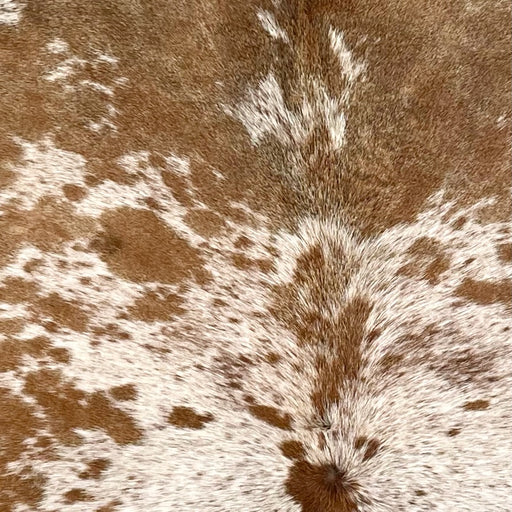 Closeup of this Speckled Brazilian Cowhide, showing white with brown speckles and spots (BRSP3465)