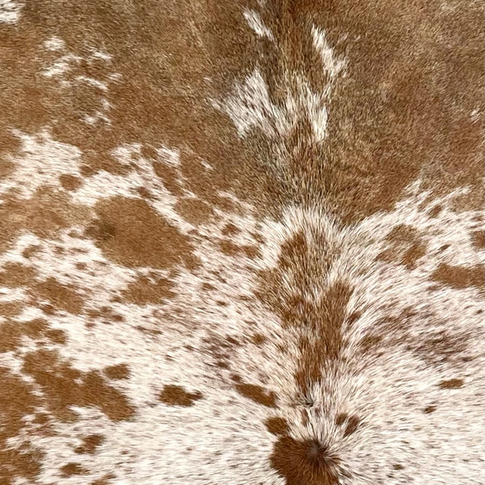 Closeup of this Speckled Brazilian Cowhide, showing white with brown speckles and spots (BRSP3465)