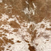 Closeup of this Speckled Brazilian Cowhide, showing white with brown speckles and spots (BRSP3465)