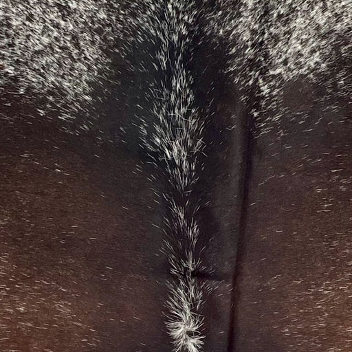 Closeup of this Speckled Brazilian Cowhide, showing dark brown with white speckles, and white with dark brown speckles on the shoulder (BRSP3466)