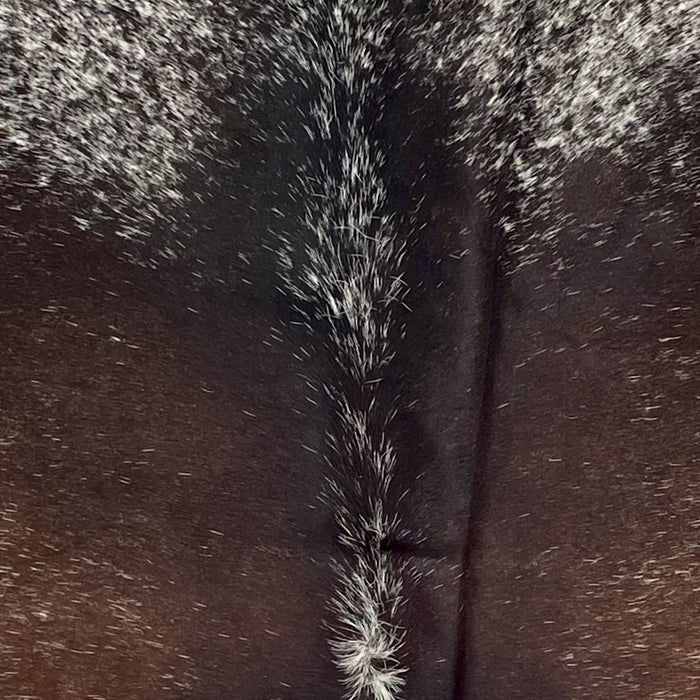 Closeup of this Speckled Brazilian Cowhide, showing dark brown with white speckles, and white with dark brown speckles on the shoulder (BRSP3466)
