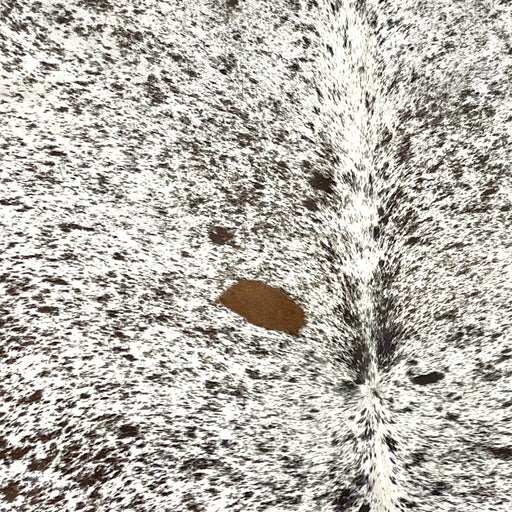 Closeup of this Tricolor Speckled Brazilian Cowhide, showing white with black and dark brown speckles and spots  (BRSP3467)